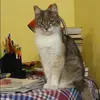 Отзыв от Евгения Вешнякова